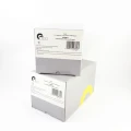 16912775cd3e2b888472788b18e28d89