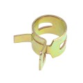 GMP2385_2.jpg